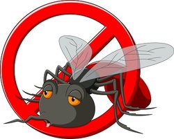 Pest Control services in Vancouver BC