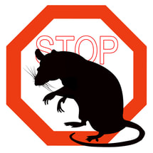 vancouver based pest control company